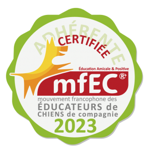 Logo mfec 2023